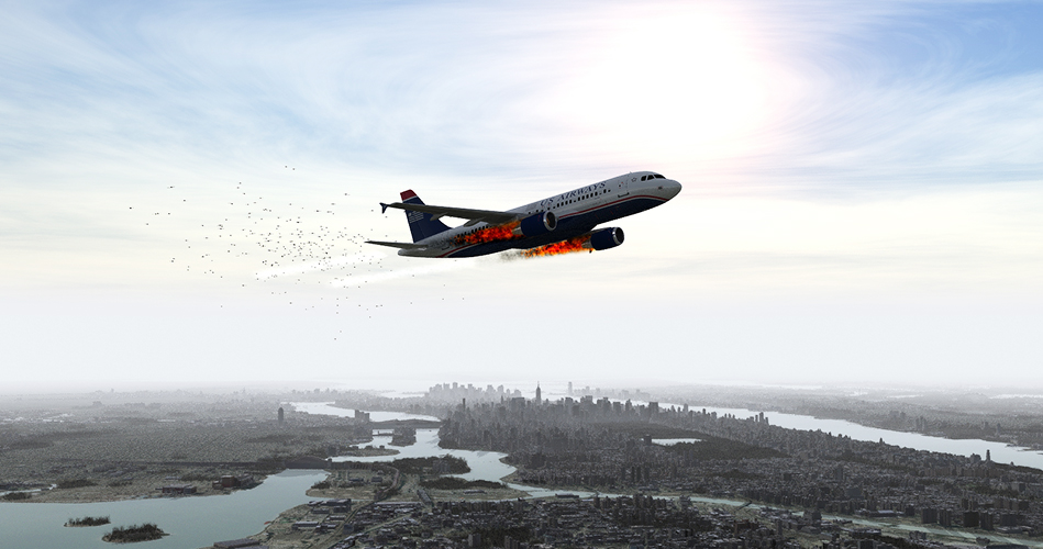 The accident: bird strike